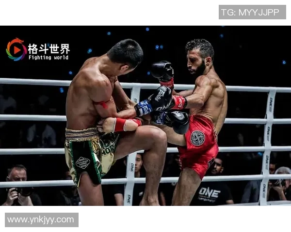 张开印与雅桑克莱巅峰对决谁将成为搏击界的新王者